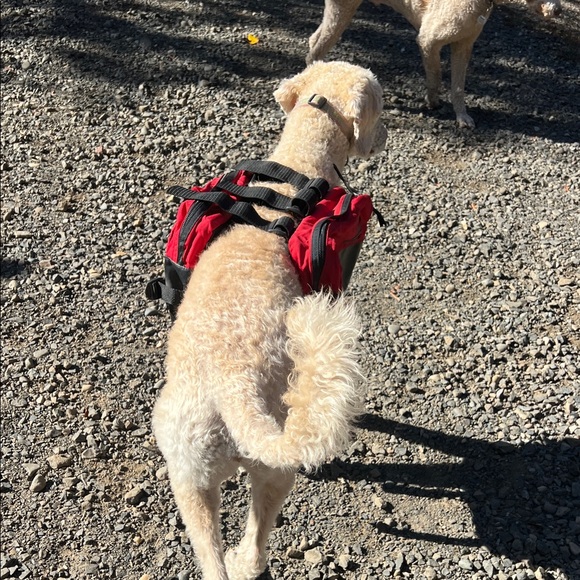 Dog Backpack - Picture 5 of 16